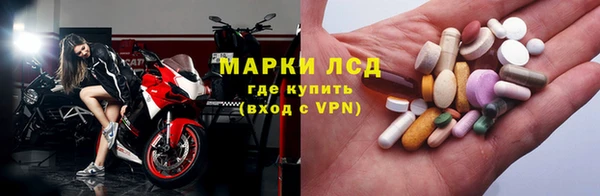 гидра Аркадак