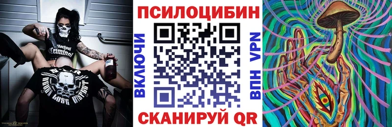 хочу   Катайск  Галлюциногенные грибы Cubensis 