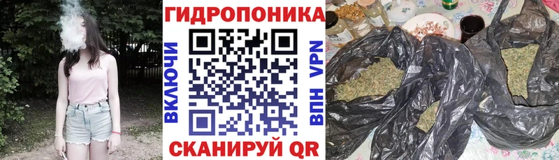 Марихуана OG Kush купить цена Катайск